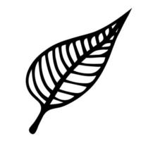 Leaf veined vector icon. Hand-drawn illustration isolated on white background. Birch leaf on a thin petiole. Botanical sketch. Plant silhouette. Foliage outline. Monochrome natural element.