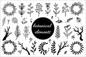 Field herbs, branches, wreaths vector set. Hand-drawn illustration isolated on white background. Plants with berries, flowers with inflorescences, leaves. Silhouettes of dry twigs. Monochrome.