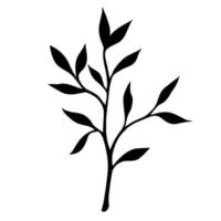 silueta negra de una rama con icono de vector de hojas. ilustración dibujada a mano aislada sobre fondo blanco. boceto botánico de una ramita de árbol con follaje. arte conceptual natural monocromático.
