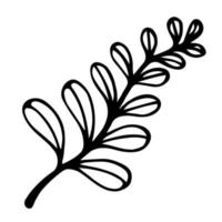 Tree branch vector icon. Hand-drawn illustration isolated on white background. Black silhouette of a twig with oval veined leaves. Stroke the stem with foliage. Botanical sketch. Monochrome doodle.