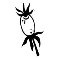 Rosehip berry vector icon. Hand-drawn illustration isolated on white background. Black silhouette of a healthy fruit on a petiole. Botanical sketch. The outline of a garden plant. Monochrome