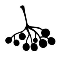 Bunch of rowan or viburnum vector icon. Hand-drawn silhouette of berries isolated on white background. A raceme of round fruits. Botanical sketch. Autumn harvest monochrome concept.