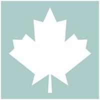 Maple leaf the white color icon vector