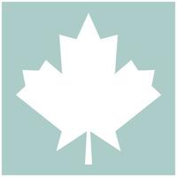 Maple leaf the white color icon vector