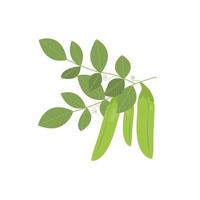 Pea stalks and pods. Isolated image of polka dots on a white background. Vector illustration