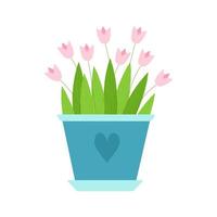 solated image tulips in a flower pot. For the design of postcards, notebook covers, stickers, children's illustrations. Vector illustration, cartoon style