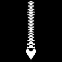 icono blanco de la columna vertebral humana vector