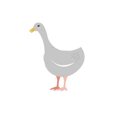 Goose, geese set of illustrations, cute cartoon drawings. Animal character  in various poses 21893360 Vector Art at Vecteezy
