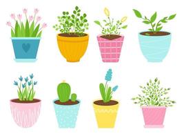 Set of isolated images of indoor flowers in ceramic pots. Plants in a variety of containers. Vector illustration