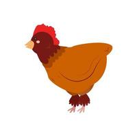imagen aislada de una gallina roja sobre un fondo blanco. divertida ilustración estilizada para niños. vector. dibujado a mano vector
