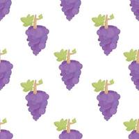 Grape bunch seamless pattern on white background with leaves, Fresh organic food vector