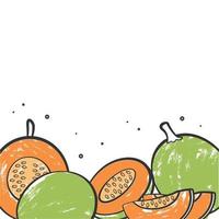 ilustración vectorial gráfico de melón vector