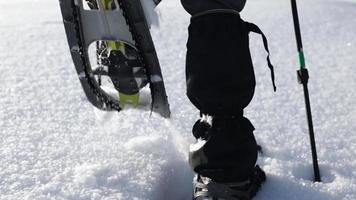 A woman walks in snowshoes in the snow, winter trekking, a person in the mountains in winter, hiking equipment video