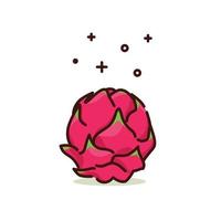 Illustration vector graphic of dragon fruit