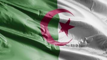 bandiera dell'Algeria che sventola sull'anello del vento. bandiera algerina che ondeggia sulla brezza. sfondo di riempimento completo. Ciclo di 10 secondi.