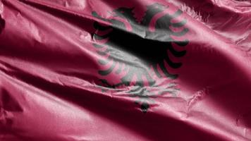 Albania textile flag slow waving on the wind loop. Albanian banner smoothly swaying on the breeze. Fabric textile tissue. Full filling background. 20 seconds loop. video