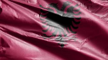 bandera textil de albania ondeando lentamente en el bucle de viento. estandarte albanés balanceándose suavemente con la brisa. tejido textil tejido. fondo de relleno completo. Bucle de 20 segundos. video