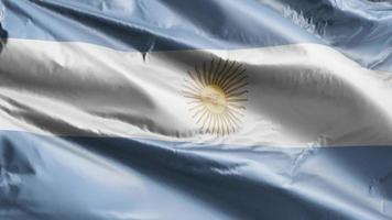 bandeira argentina acenando lentamente no loop de vento. bandeira argentina balançando suavemente na brisa. fundo de preenchimento completo. Ciclo de 20 segundos. video