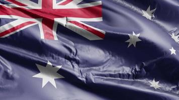 bandiera dell'australia sventola sul ciclo del vento. bandiera australiana che ondeggia sulla brezza. sfondo di riempimento completo. Ciclo di 10 secondi.