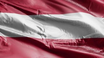 Austria flag waving on the wind loop. Austrian banner swaying on the breeze. Full filling background. 10 seconds loop. video