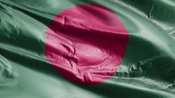 vlag van bangladesh zwaaien op de wind-lus. bangladesh banner zwaaiend op de wind. volledige vulling achtergrond. 10 seconden lus. video