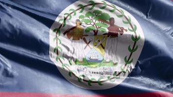 Belize textile flag waving on the wind loop. Belizean banner swaying on the breeze. Fabric textile tissue. Full filling background. 10 seconds loop. video