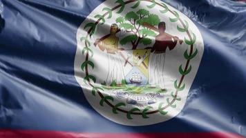 belize flagga långsamt viftande på vindslingan. belizeansk banderoll svajar smidigt på vinden. full fyllning bakgrund. 20 sekunders loop. video