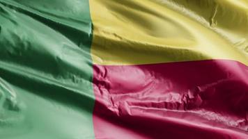 Benin-Flagge weht auf der Windschleife. Benin-Banner wiegt sich im Wind. voll ausfüllender Hintergrund. 10 Sekunden Schleife. video