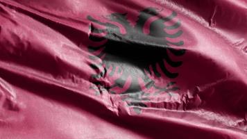 Albania textile flag waving on the wind loop. Albanian banner swaying on the breeze. Fabric textile tissue. Full filling background. 10 seconds loop. video