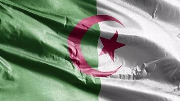 Algeriets textilflagga vajar på vindslingan. algerisk banderoll vajande på vinden. tyg textilvävnad. full fyllning bakgrund. 10 sekunders loop. video