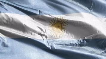 argentina textilflagga vajar på vindslingan. argentinska banderoll vajande på vinden. tyg textilvävnad. full fyllning bakgrund. 10 sekunders loop. video