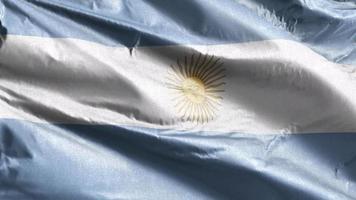 bandera textil argentina ondeando lentamente en el bucle de viento. estandarte argentino balanceándose suavemente con la brisa. tejido textil tejido. fondo de relleno completo. Bucle de 20 segundos. video