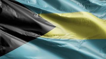 Bahamas flag slow waving on the wind loop. Bahamian banner smoothly swaying on the breeze. Full filling background. 20 seconds loop. video