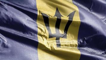 Barbados textile flag waving on the wind loop. Barbados banner swaying on the breeze. Fabric textile tissue. Full filling background. 10 seconds loop. video