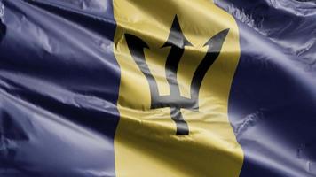 vlag van barbados langzaam zwaaiend op de windlus. barbados banner soepel zwaaiend op de wind. volledige vulling achtergrond. 20 seconden lus. video