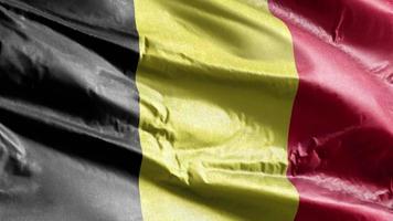 Belgische textielvlag die op de windlus zwaait. belgische banner zwaaiend op de wind. stof textiel weefsel. volledige vulling achtergrond. 10 seconden lus. video