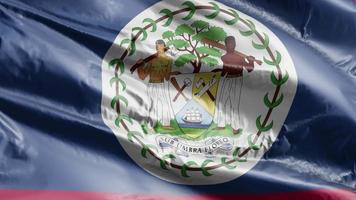 belize flagga vajar på vindslingan. belizeansk banderoll vajande på vinden. full fyllning bakgrund. 10 sekunders loop. video