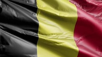 bandeira da bélgica acenando lentamente no loop de vento. bandeira belga balançando suavemente na brisa. fundo de preenchimento completo. Ciclo de 20 segundos. video