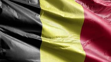 Belgium textile flag slow waving on the wind loop. Belgian banner smoothly swaying on the breeze. Fabric textile tissue. Full filling background. 20 seconds loop. video