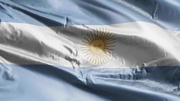 bandiera dell'argentina sventola sul ciclo del vento. bandiera argentina che ondeggia nella brezza. sfondo di riempimento completo. Ciclo di 10 secondi. video