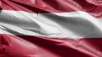 Austria flag slow waving on the wind loop. Austrian banner smoothly swaying on the breeze. Full filling background. 20 seconds loop. video