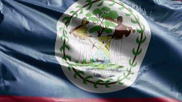 Belize textile flag slow waving on the wind loop. Belizean banner smoothly swaying on the breeze. Fabric textile tissue. Full filling background. 20 seconds loop. video