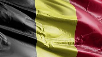 Belgium flag waving on the wind loop. Belgian banner swaying on the breeze. Full filling background. 10 seconds loop. video