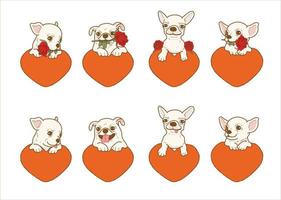 perro chihuahua de dibujos animados sosteniendo una flor rosa roja en la boca con el corazón, un perro encantador enamorado en el día de san valentín da una ilustración de regalo vector