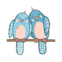 Two cute blue birds in love are sitting on the branch. Birds in hand drawn style isolated on a white background. Valentines day. vector