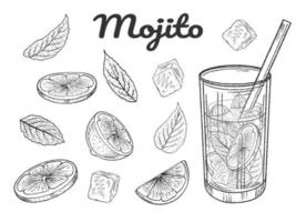 Set of hand drawn monochrome cocktail mojito, lime, mint and ice cubes. Vector illustration. Isolated on white.