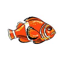 Clown fish isolated on a white background. Exotic fish. Vector illustration.