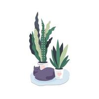 Cozy vector illustration with a cat and potted flowers on a white isolated background. Sticker, greeting card, decoration.