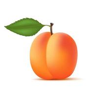 Peach orange with peach slices and leaves. Vitamins, Healthy food fruit. On a white background. Realistic 3D Vector illustration.