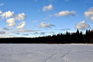 winter in Manitoba - a trail on a snow covered lake photo